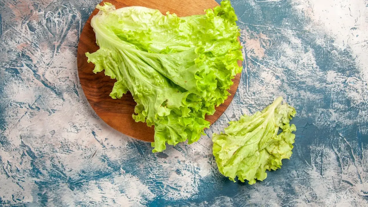 Lettuce