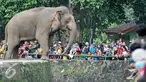 Pengunjung Kebun Binatang Ragunan kembali membeludak di libur Lebaran, Jakarta, Sabtu (9/7). Diprediksi jumlah pengunjung hari (Sabtu) ini mencapai 170.000 orang. (Liputan6.com/Yoppy Renato)