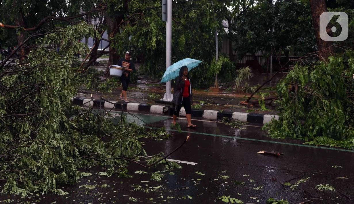 Warga berjalan dekat pohon tumbang yang melintang di sebuah jalan di Kota Tangerang, Banten, Kamis (23/12/2021). Puluhan pohon dan gapura tumbang akibat terjangan angin kencang saat hujan lebat melanda Kota Tangerang. (Liputan6.com/Angga Yuniar)