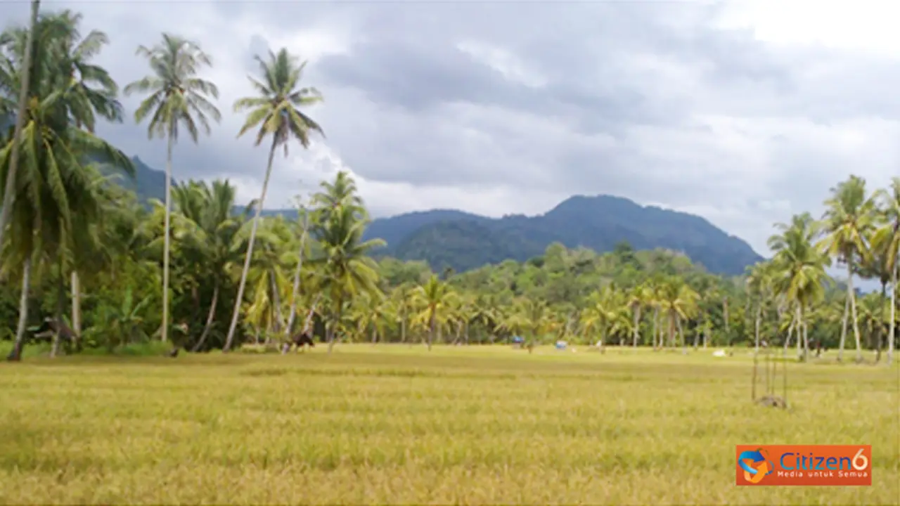 131030aghunung.jpg