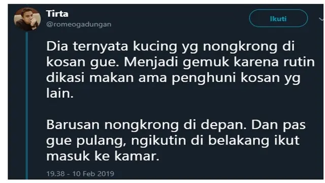 Cowok Ini Bingung Ada Kucing Hamil Nyasar ke Kamar, Endingnya Bikin Baper