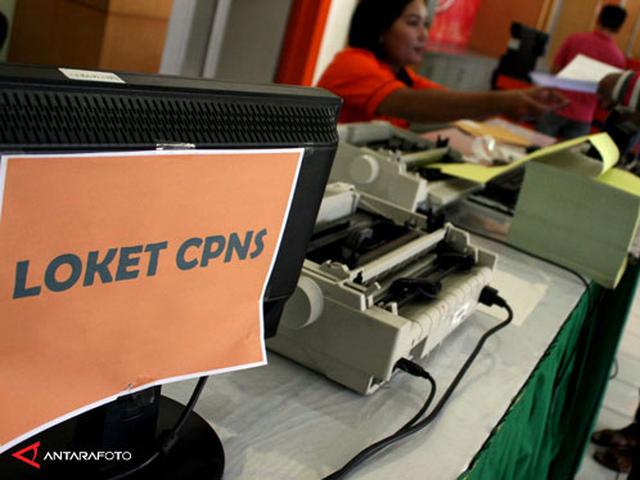 Tenaga Honorer Yang Lulus Jadi Cpns Sudah 107 346 Orang Bisnis