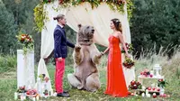 Stepan, beruang coklat seberat 133 kilogram ini menjadi 'saksi' pernikahan pasangan Rusia. Foto : Istimewa