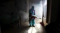 Virus Zika Sudah Ada di Indonesia Sejak 1981
