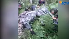 Polisi hanya mengamankan barang bukti seratus batang tanaman ganja dan satu karung ganja kering siap edar.
