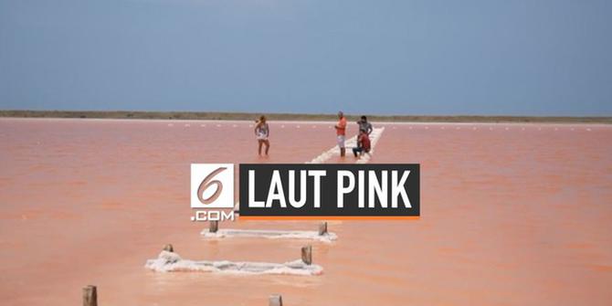 VIDEO: Penyebab Air Laut Kolombia Berubah jadi Pink