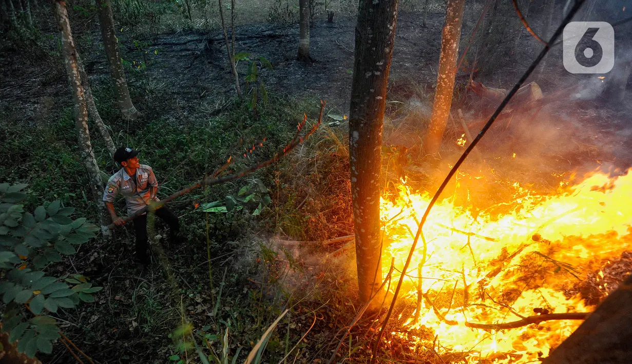 Petugas keamanan memadamkam api yang membakar lahan hutan kota di kawasan Perumahan Batan Indah, Tangerang Selatan, Banten, Senin (9/10/2023). (merdeka.com/Arie Basuki)