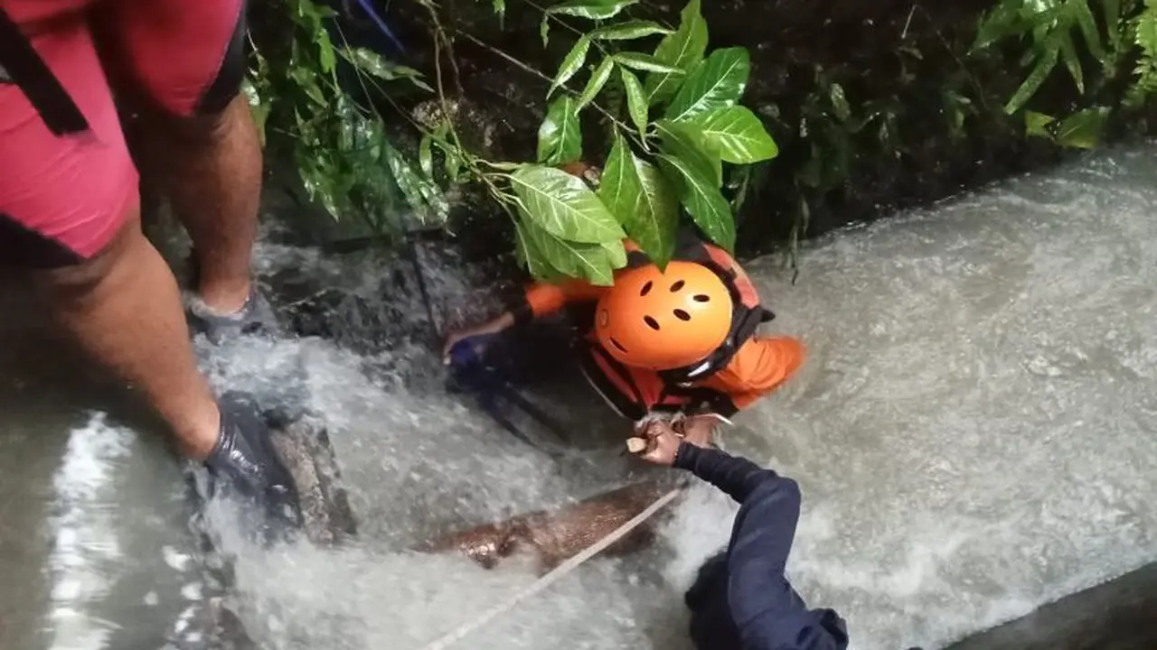 Evakuasi bule wanita korban banjir di Badung. (Antara)