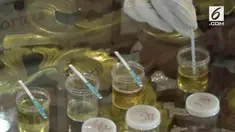 Tujuh polisi yang memiliki urine positif adalah anggota Direktorat Narkoba Polda Lampung.
