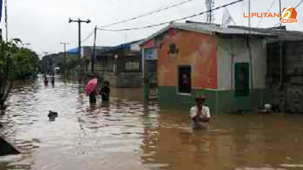 kapuk-muara-140131b.jpg