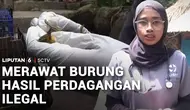 Rumah Sakit Burung Selamatkan Satwa Korban Perdagangan Ilegal