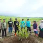 Penanaman tanaman keras di kawasan lereng Ijen upaya untuk penanganan banjir di Banyuwangi (Istimewa)
