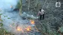 Kondisi ranting dan rumput yang kering juga diduga memicu munculnya api. (merdeka.com/Arie Basuki)