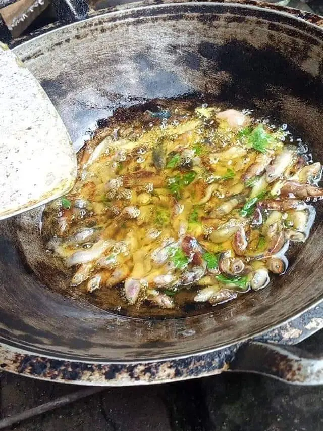 7 Potret Ikan Hias Dimasak Ini Bikin Warganet Heboh