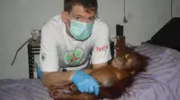 Dr Ian Singleton, pelestari orang utan asal Inggris. Dok: Kedutaan Besar Inggris