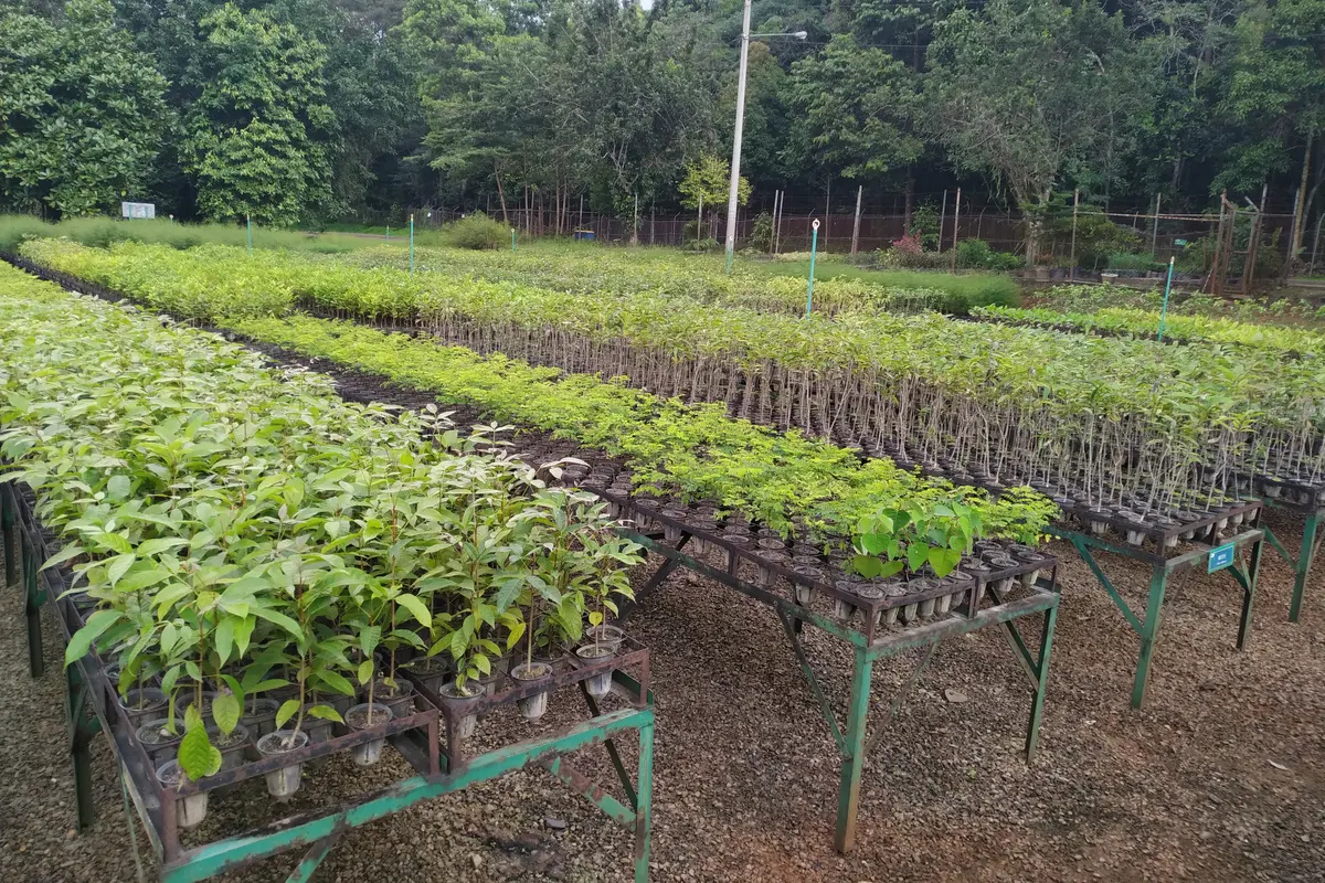 Vale Indonesia Dilirik Sejumlah Perusahaan Besar Dunia