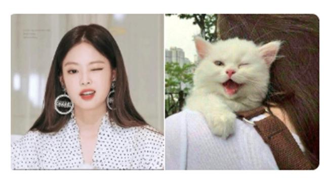 Ekspresi Jennie (Sumber: Twitter: /jenniesofty)