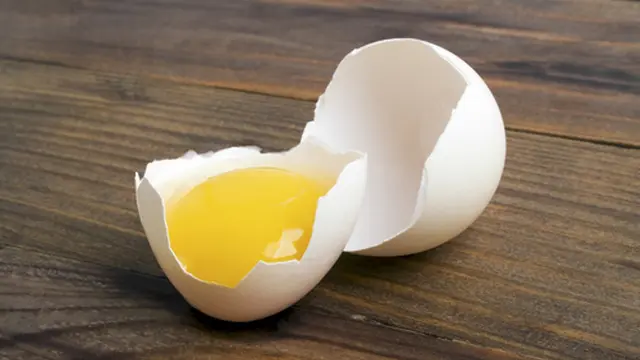 Kuning Telur