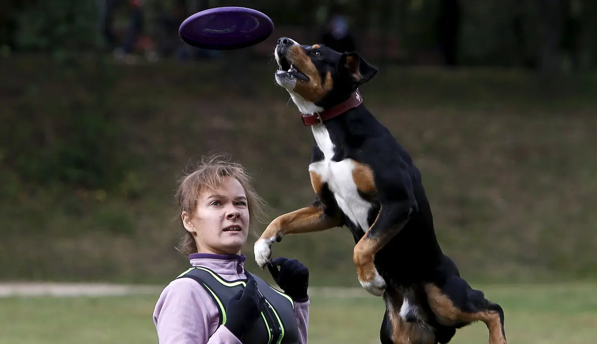 Seorang pemilik dan anjingnya saat kompetisi frisbee anjing di Moskow, Minggu (13/9). Anjing dan pemiliknya ambil bagian dalam berbagai kategori jarak dan tes akurasi pada kompetisi untuk menilai keterampilan frisbee mereka. (REUTERS/Sergei Karpukhi)