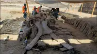 Temuan fosil mamut raksasa oleh sekelompik tim arkeolog di lokasi proyek bandara baru Meksiko. (Source: Facebook Vagando con Mafedien)
