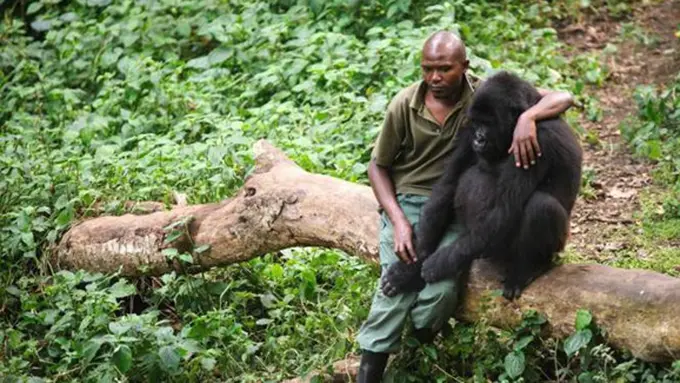 Photo: Copyright metro.co.uk