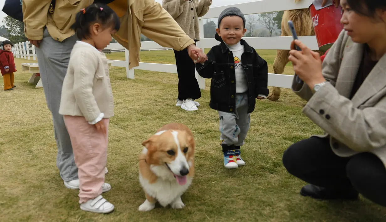 Sejumlah orang menikmati waktu luang mereka di "Go Farm" di Desa Gucheng, Kota Huzhou, Provinsi Zhejiang, China pada 17 November 2020. "Go Farm", sebuah destinasi liburan yang memadukan antara perkemahan dengan tur bertema hewan peliharaan di desa kuno Gucheng. (Xinhua/Weng Xinyang)