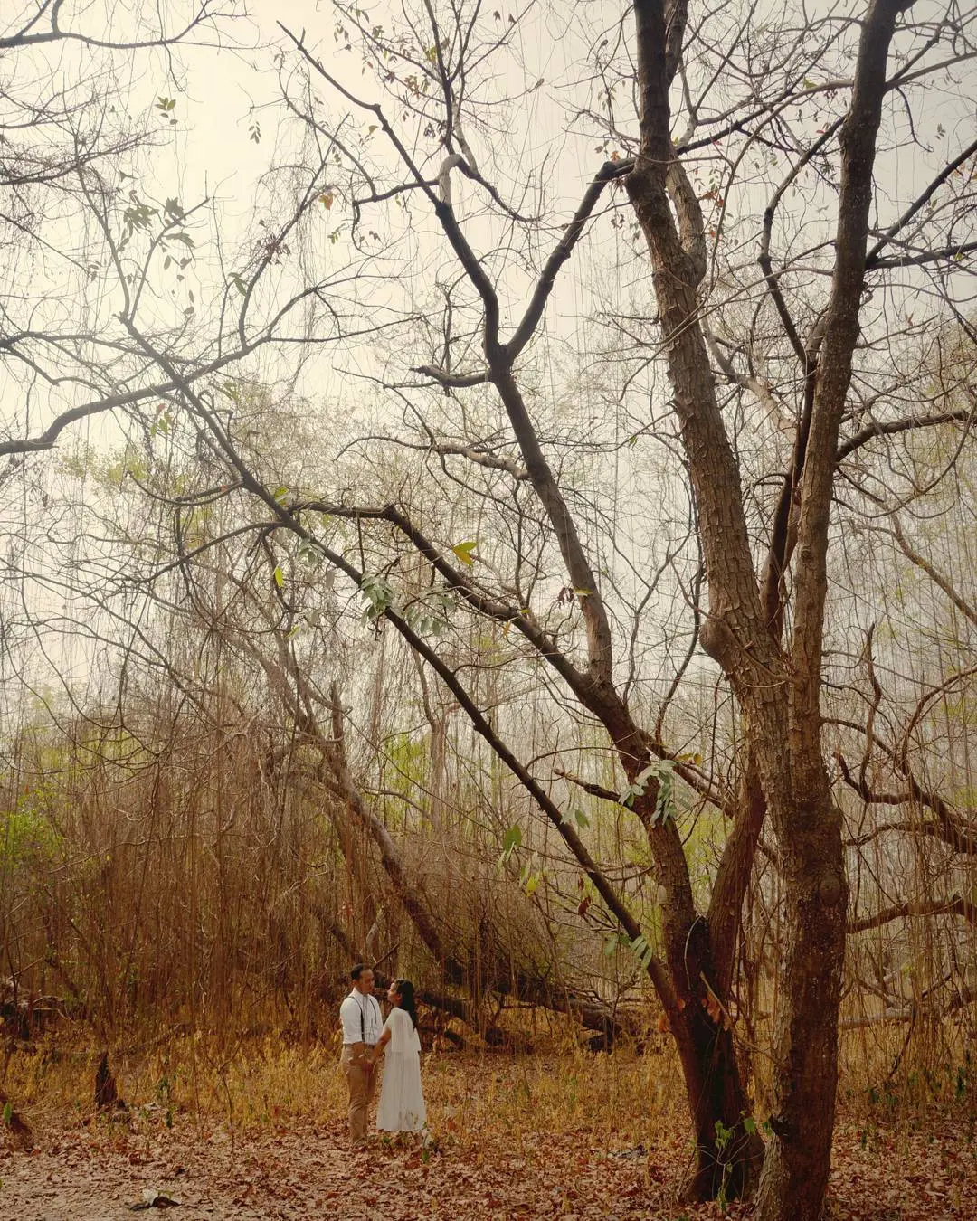 Hutan Kota Srengseng, Jakarta. (Sumber Foto: chendekia/Instagram)