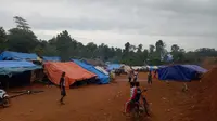 Warga Kampung Gunung Cibandung, Desa Cigobang, Kecamatan Lebak Gedong, Kabupaten Lebak, Banten, membangun pengungsian secara swadaya. (Liputan6.com/ Yandhi Deslatama)
