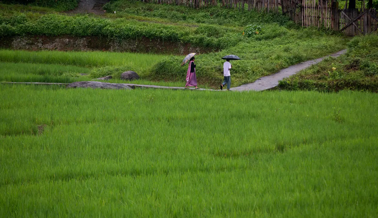 Pasangan suku Khasi melewati sawah saat hujan di sebuah desa di sepanjang perbatasan negara Assam-Meghalaya di India (11/9). Suku Khasi menyebut diri mereka sendiri Ki Khun U Hynñiewtrep, yang artinya "Anak-Anak dari Tujuh Gubuk". (AP Photo/Anupam Nath)