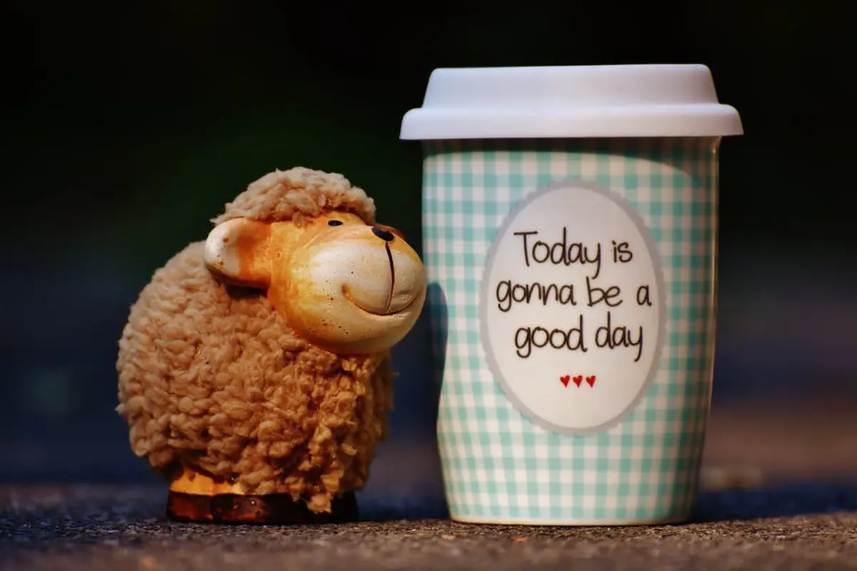 [Bintang] Tarot Hari Ini: I Love Monday!