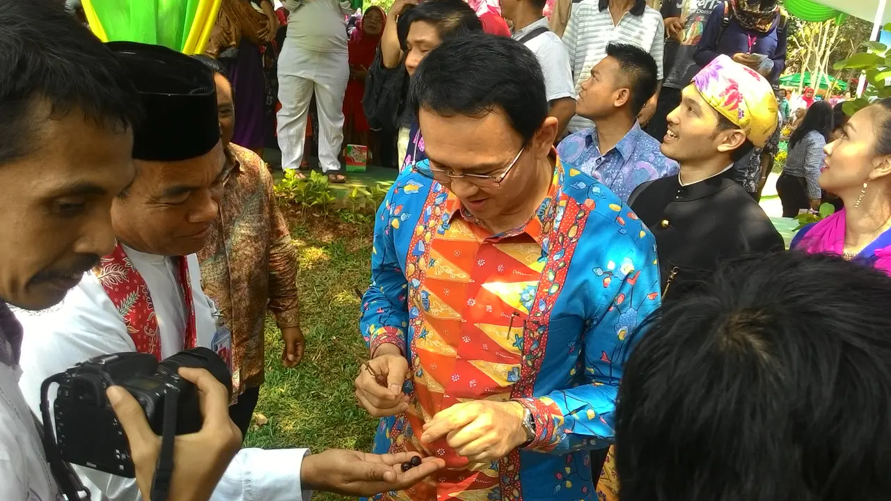 Tak Tahan Makan Buah Jamblang, Ahok Lompat Pohon di Cililitan