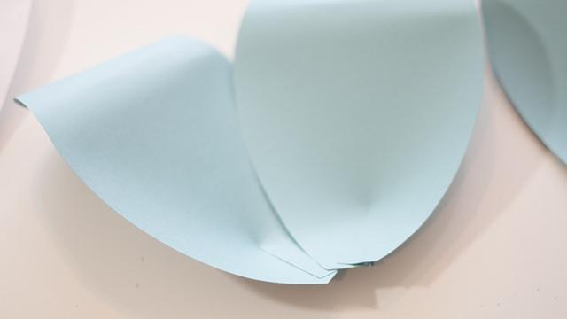 Bentuk dan rangkai kelopak