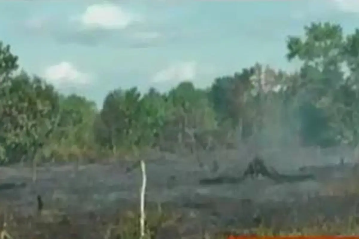 Kebakaran Hutan dan Lahan