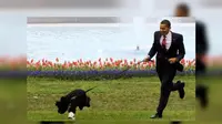 Seorang pria mencoba menculik anjing milik Obama (Reuters)