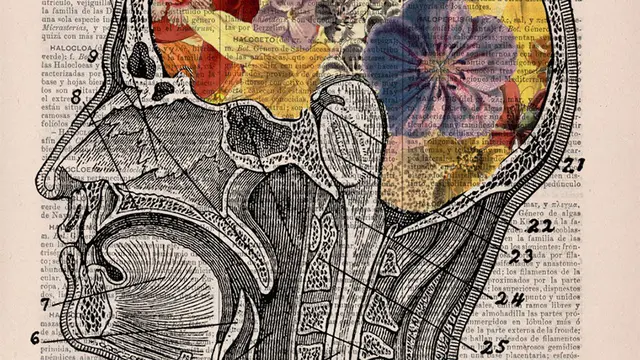 [Bintang] 10 Ilustrasi Anatomi Tubuh Motif Bunga yang Digores di Buku Tua