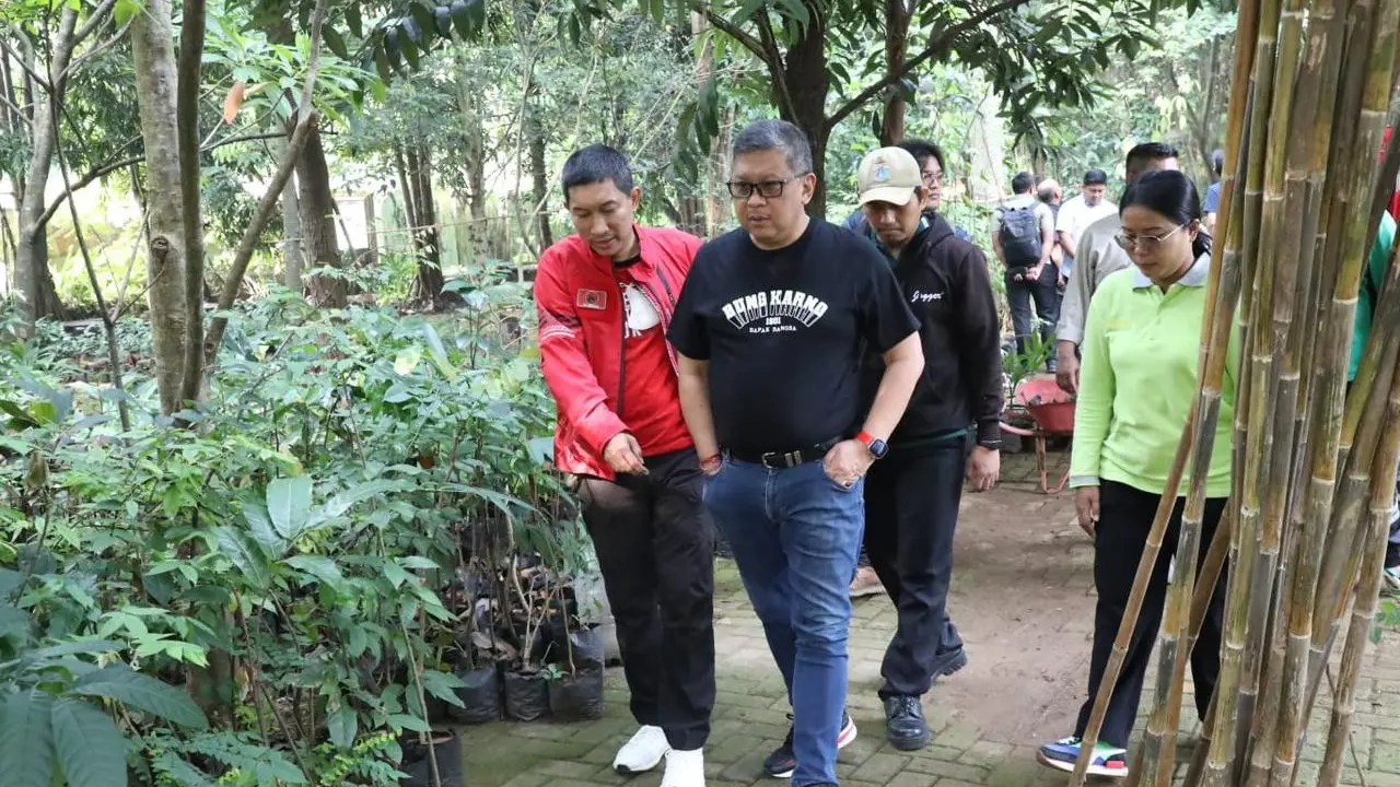Sekjen DPP PDI Perjuangan Hasto Kristiyanto merayakan ulang tahun yang ke-57 dengan menebar bibit ikan di Hutan Kota Munjul, Jakarta Timur, Jumat (7/7/2023).