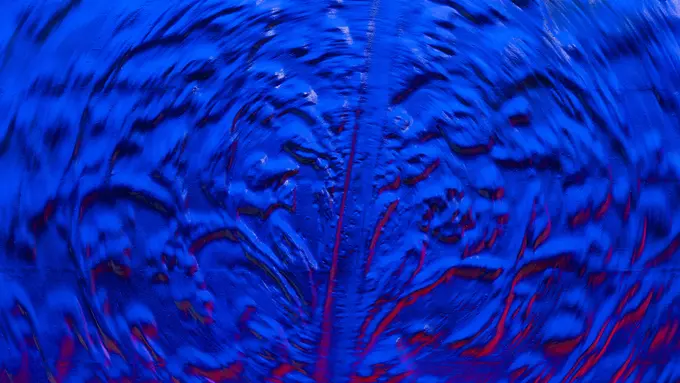 Establisher 2023 Bronze_ I Gusti Agung Gede Jemana Murti