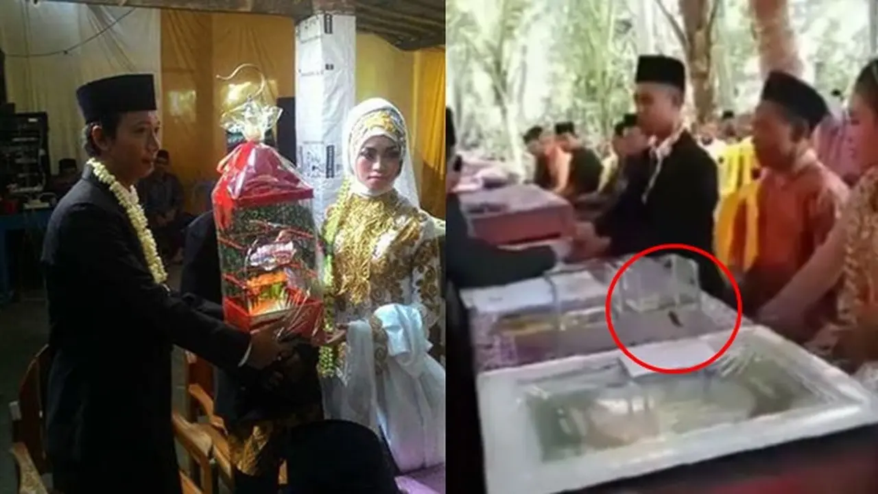 6 Mahar Nikah Pecinta Binatang Ini Unik, Ikan Cupang Hingga Burung Lovebird