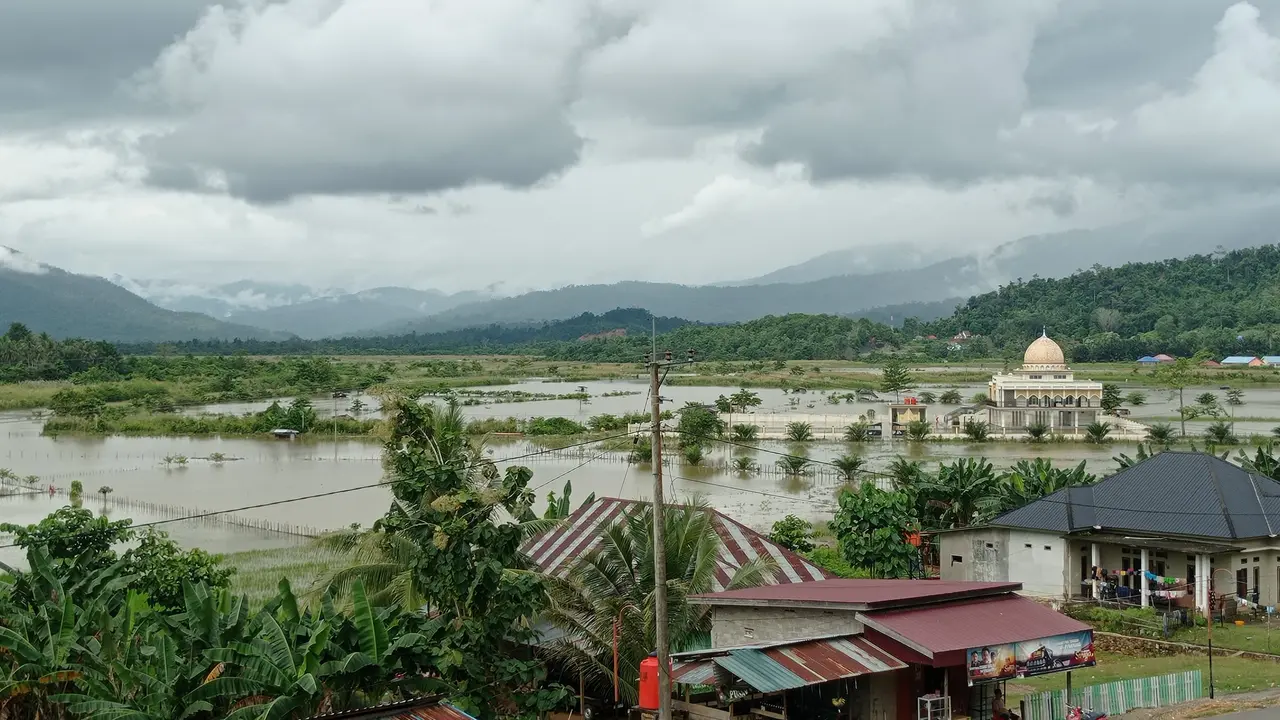 Banjir Konawe Utara sawah terendam ratusan hektar.