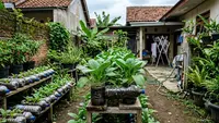16 Sayuran Daun yang Tetap Subur Meski Ditanam di Wadah Kecil, Mudah Dirawat