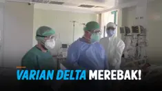 delta turki