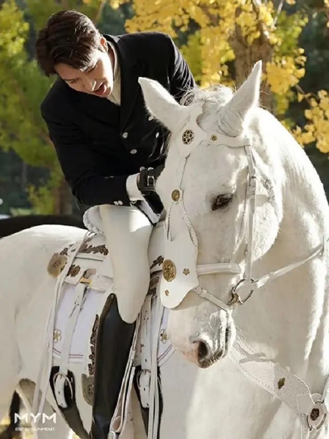 Lee Min Hoo