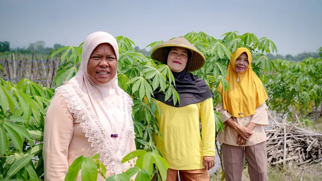 Ibu Sumarni, Petani Palawija