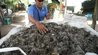 koordinator pengelolah TPST Desa Banjarbendo Sugito dengan sampah olahannya. (Dian Kurniawan/Liputan6.com)