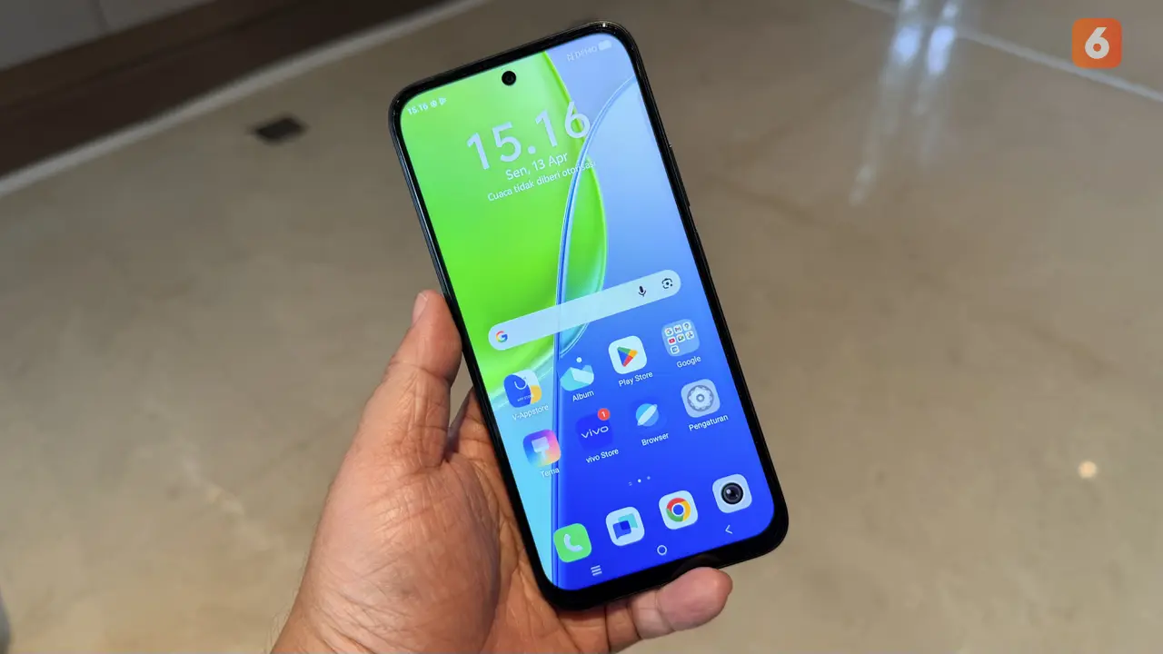 Vivo Y31d Pro