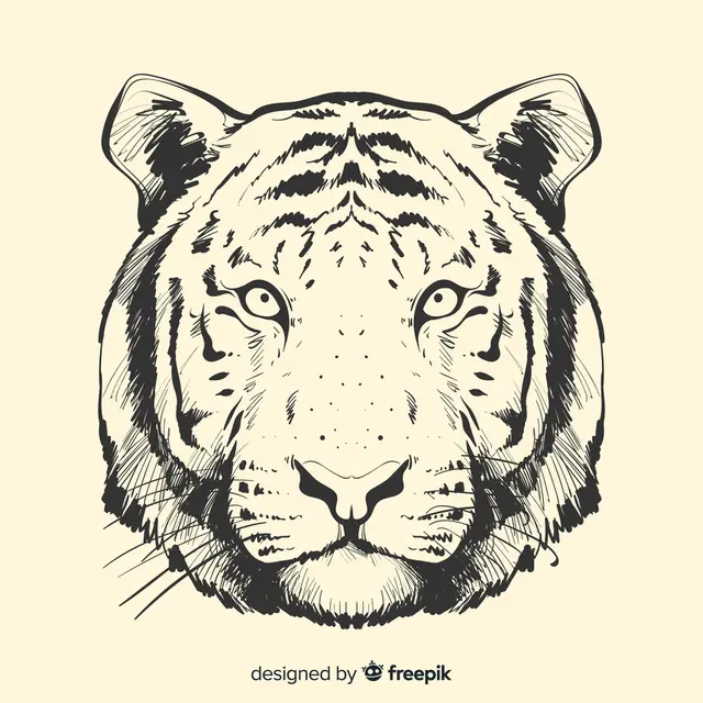 Tiger Face