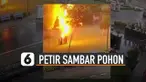 Tiba-tiba ada petir yang menyambar sisi pohon itu hingga mengeluarkan percikan api.