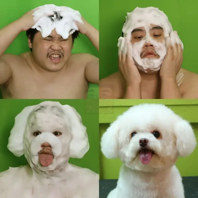 8 Gaya Cosplay Low Budget Tirukan Hewan Ini Bikin Geleng Kepala
