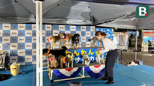 Stadion Todoroki Jepang