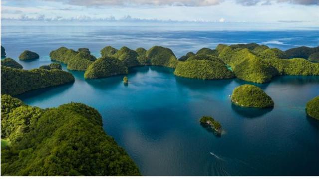 Palau Jadi Negara Pertama yang Utamakan Pariwisata Berkelanjutan dan Wisatawan Peduli Lingkungan